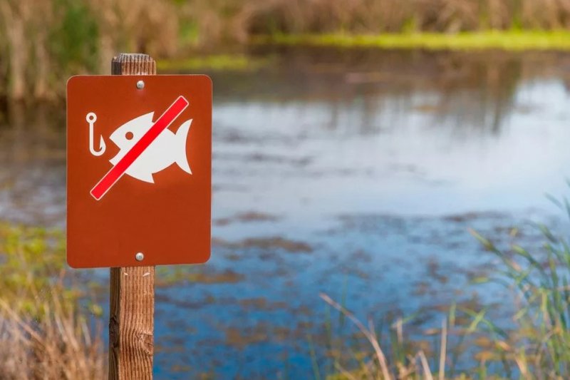 На Хмельниччині розпочинається весняно-літня заборона на лов водних біоресурсів